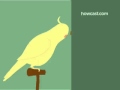 How To Train Your Bird To Talk