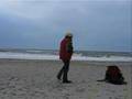 Parawaiting westcoast of jutland