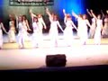 belly dance difusion cultural