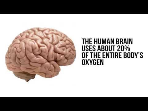 how to meditate quora