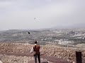 Falcons on Fortaleza del Sol