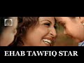 ehab tawfik httpwwwehabtawfiqstarcom .html