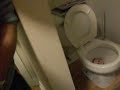 Clip Anger management Video