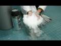 Freezing Acetone with Liquid Nitrogen