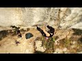 gregory packs,torre 33,fusion lts