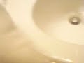 Bob every morning