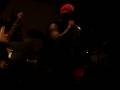 Colossal roots (cover) DOTFB