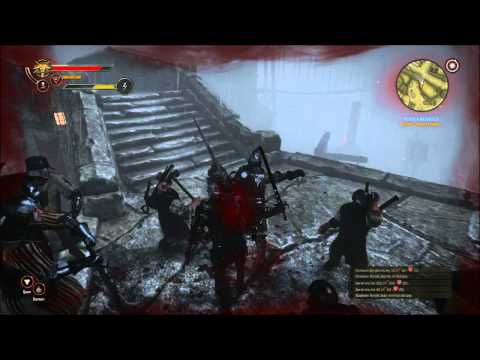 The Witcher 2 : Assassins of Kings