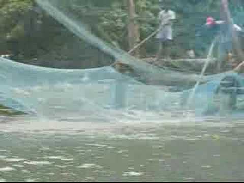 Cochin - Chinese Fishing Nets (Fort ...