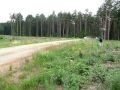videos de M. Ostberg  Subaru Impreza WRC - OS 6 Pianki