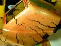 can-yucel-freehand-airbrush-macaw-on-car-hood-3.html