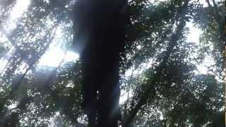 The Gift Tamil Short Film