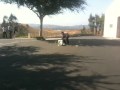 Training Day!