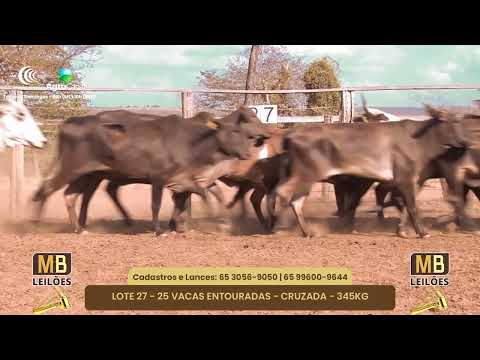 512� LEIL�O VIRTUAL MB LEIL�ES