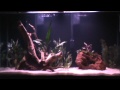 40 Gallon #3 - Planted