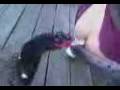 videos de My Crack + My bum :)