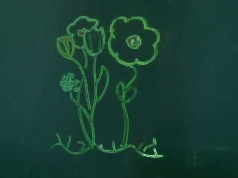 stevejobs - Quick conversation about Steve Jobs and his belief in simplicity, stemming from Zen Buddhism. Sources: Isaacson, W. (24 October, 2011). Steve Jobs. Simon & S...