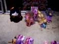 Rarity in Concert