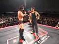 ROH Video Wire 4/23/2008