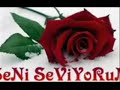 Birtek seni sevdim gerisi yalan Birtek seni sevdim gerisi yalan