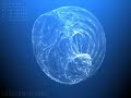 Lorenz 84  attractor