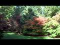 videos de Westonbirt Arboretum