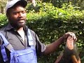 Interview with Brian Nyanhongo