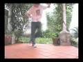 /elgab bailando electro 2.0