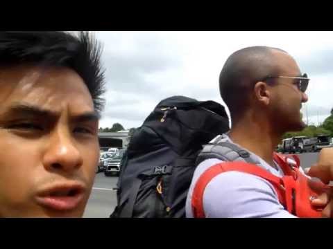 how to find the owner of a vehicle in nz