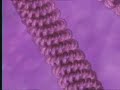 CELL wrapping & DNA replication