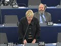 Annemie Neyts-Uyttebroeck on European Council report