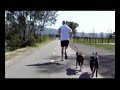 Los Gatos Creek Trail 2
