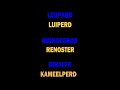 Leer Afrikaans