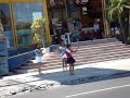 CUAUTLA CUAUTLA