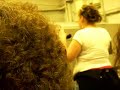 Andee the Hive queen : part 2