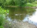 kent OH, Cuyahoga river
