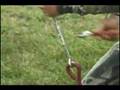Elevators LLC - Your Easy Way Up