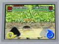 DSソフト 甲虫王者ムシキング2