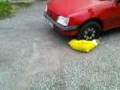 videos de la mortde bob l'éponge