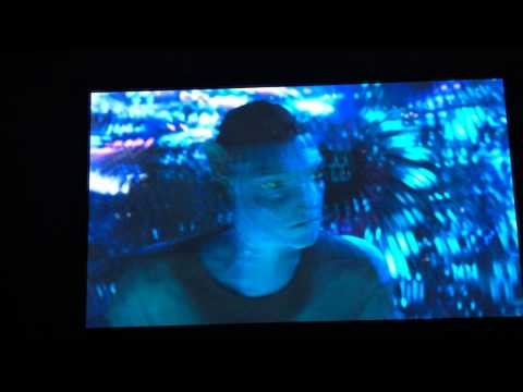 IMG 0149