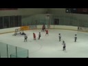 Mites Phantoms Mites Phantoms
