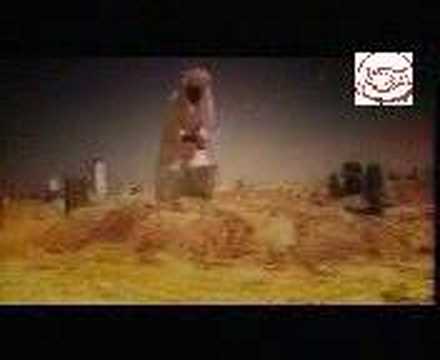 ابو خاطر فرشي التراب