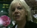 Nantwich Show