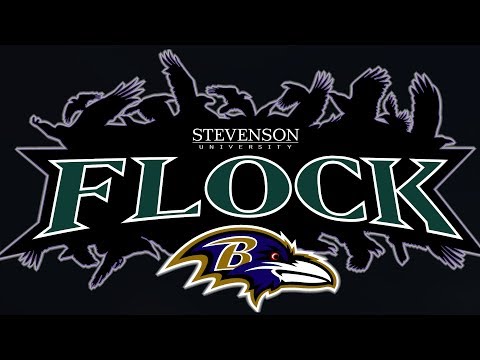 Stevenson University Ravens Flock