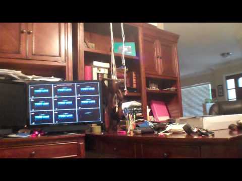 how to setup q see camera