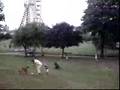 some-random-hill-in-