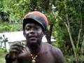 shocking murray bredren silky sweetness in snowhill jamaica