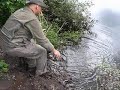 BTS CARP CLUB - mój pierwszy karp BTS CARP CLUB - mój pierwszy karp