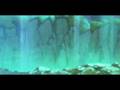 Tales of Symphonia: Dawn of the New World  Intro (Wii)
