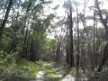 videos de A time-lapse lap of the Kona 24 Hour 2008 (Day 2 circuit)